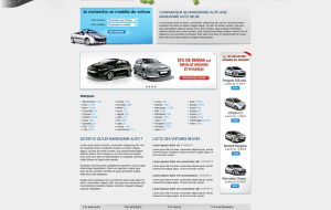 Mandataire Auto Neuve