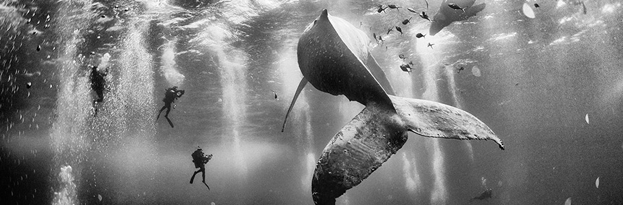 Les 10 vainqueurs du concours photo National Geographic Traveler 2015