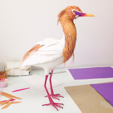 L'art du papier avec les magnifiques oiseaux de Diana Beltran Herrera