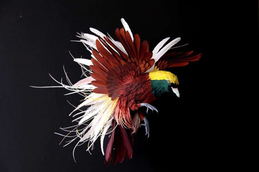 L'art du papier avec les magnifiques oiseaux de Diana Beltran Herrera