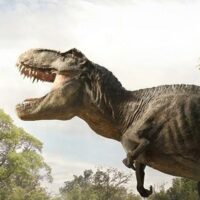 Interview de Gaëlle Seguillon : concept artist Jurassic World, Ready Player One...