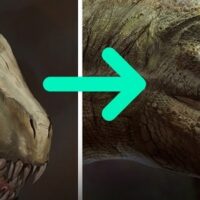 Série vidéo 3 : photobashing tête de dinosaure